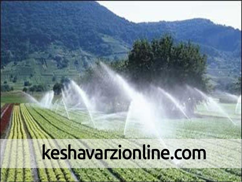 حمایت دولت از اجرای سیستم آبیاری تحت فشار در اراضی کشاورزی