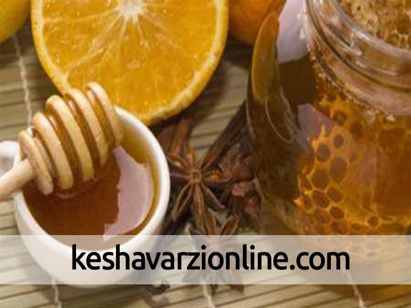 استان اردبیل با تولید 6 هزار و 200 تن عسل رتبه سوم کشور را به خود اختصاص داده است