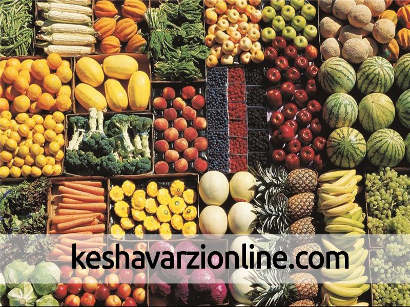 ارسال محصولات کشاورزی اصفهان به بازارهای جهانی