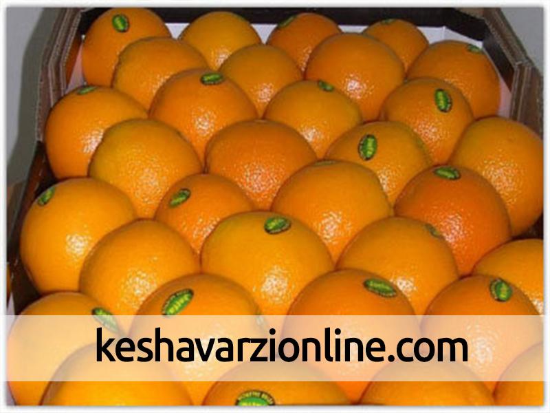 رنگ‌ کردن پرتقال‌های داخلی برای گران فروشی
