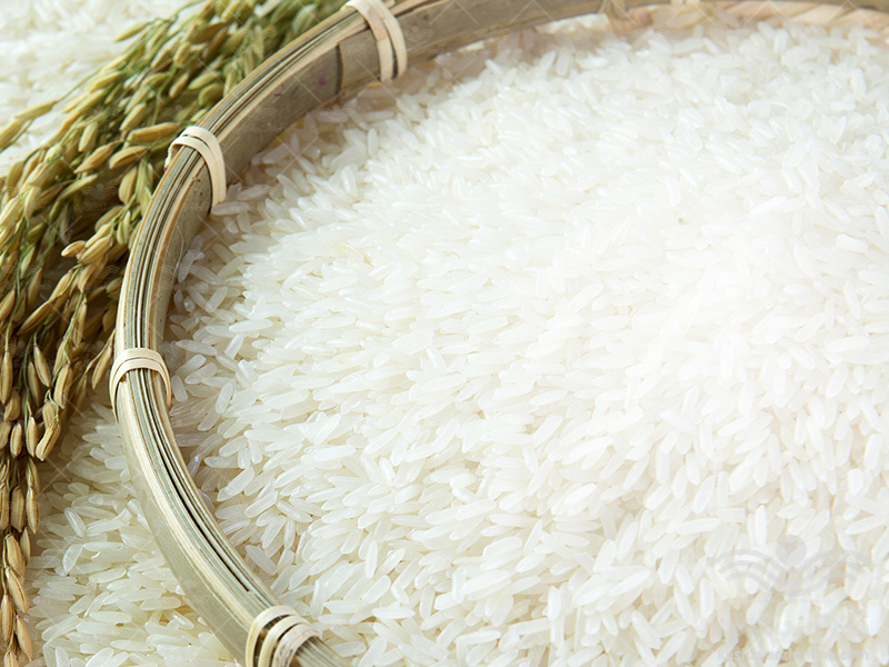 برنامه کامل تغذیه برنج