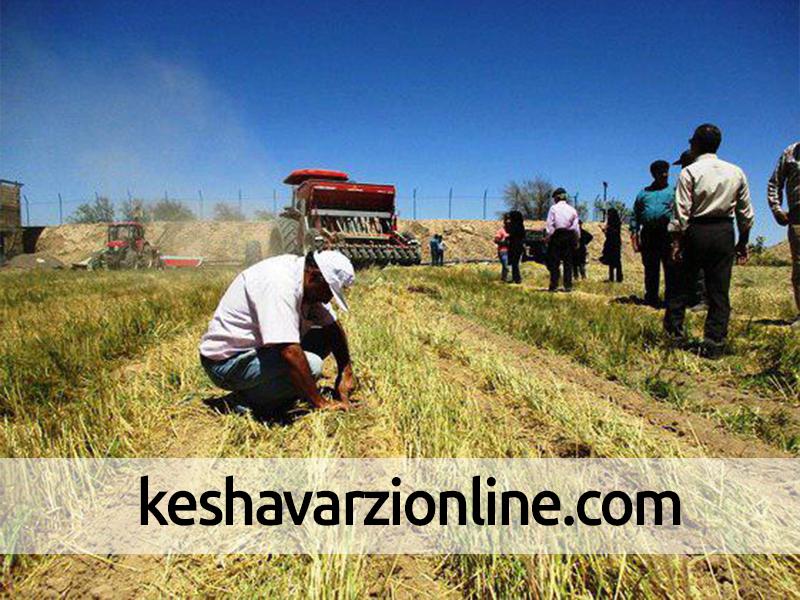 اجرای 22 هزار هکتار خاک ورزی حفاظتی در دزفول