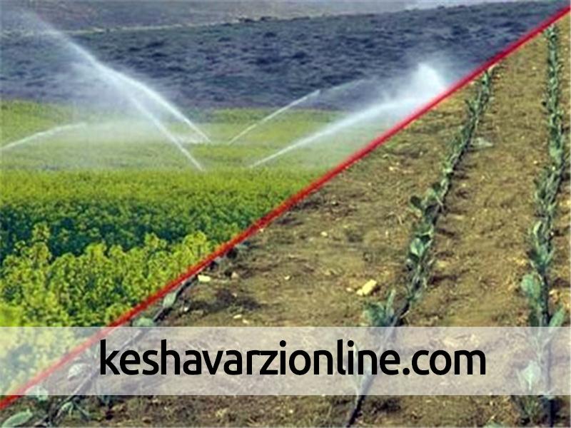 اجرای آبیاری تحت فشار در 43هزارهکتار ازاراضی کشاورزی استان زنجان