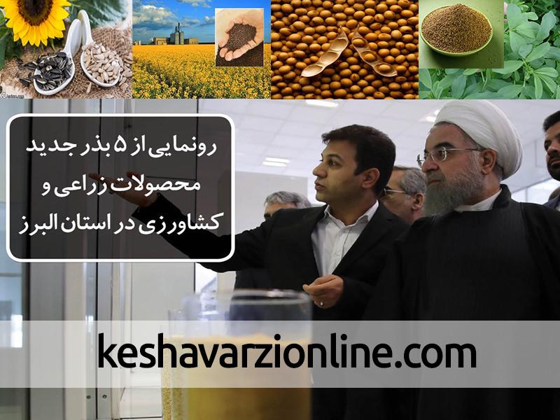 رونمایی از 5 بذر جدید محصولات زراعی و کشاورزی در استان البرز