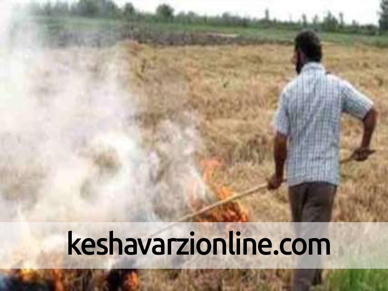 هشدار به کشاورزان در خصوص سوزاندن مزارع و مرتع