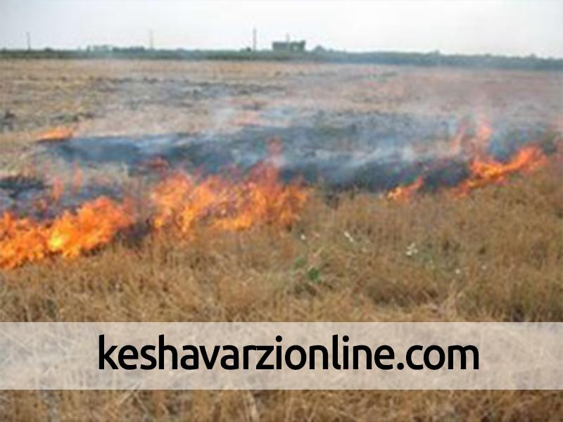 آتش به جان زمین‌های کشاورزی روستای شنه محرزی در خرمشهر افتاد