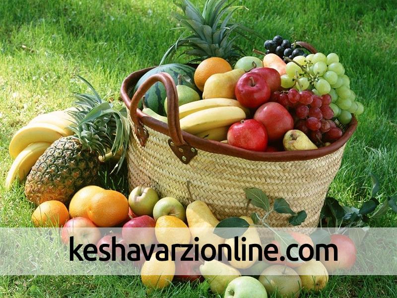 تولید 26 هزار تن میوه تابستانی در باغات کردستان