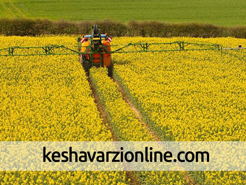 خرید بیش از ۱۸ هزار تن محصول زراعی از کشاورزان قزوینی