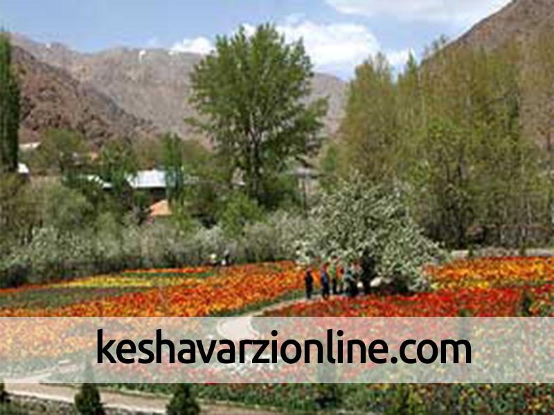 صدور گواهی صادرات 22 هزار گلدان گل و گیاه زینتی از نوشهر به خارج کشور