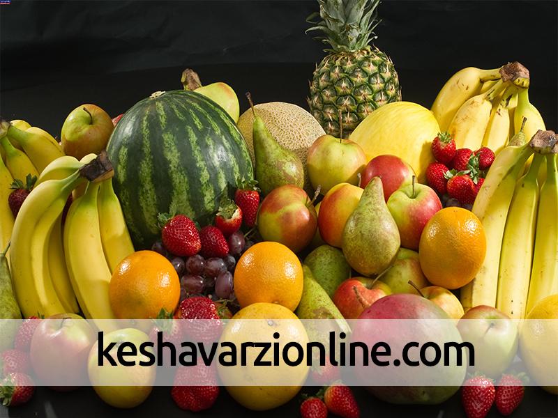 ورود میوه های ممنوعه با ترفند جدید به بازار